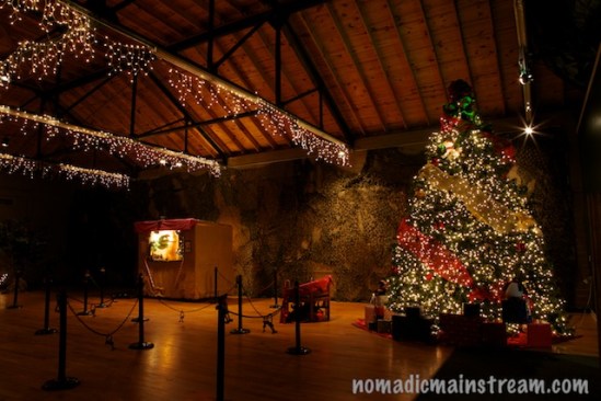 The tree is set and ready for the lines to start.