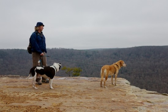 Even Tisen and Twiggy seem impressed by the view