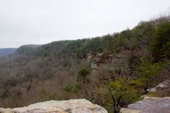 Looking back at the mountain from the overlook provides this view