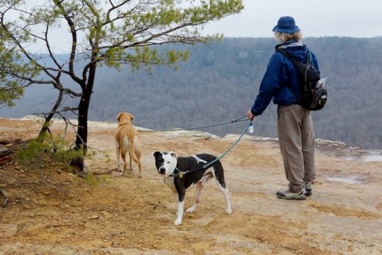 Tisen freezes for me for just a moment