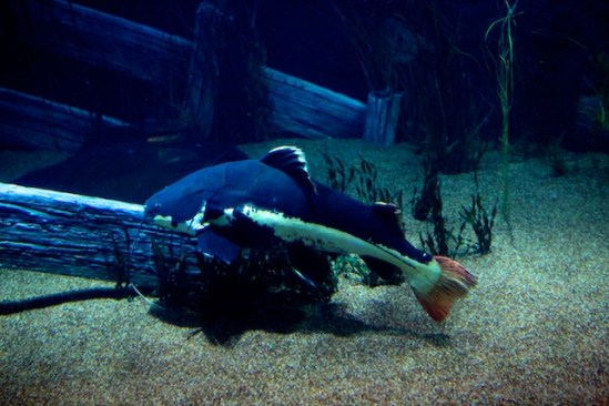 This guy doesn't look so scary with his back turned