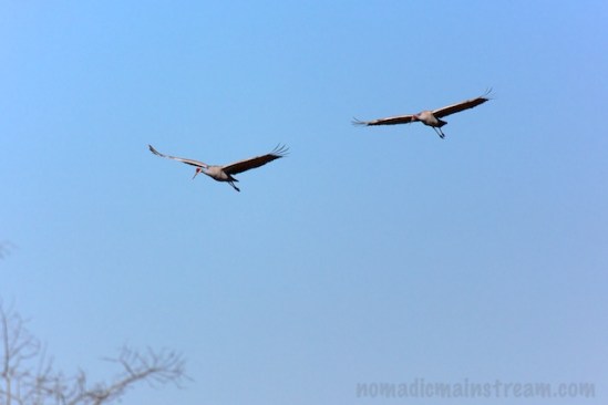 "Hey, you up there!  Mind if we join you?"