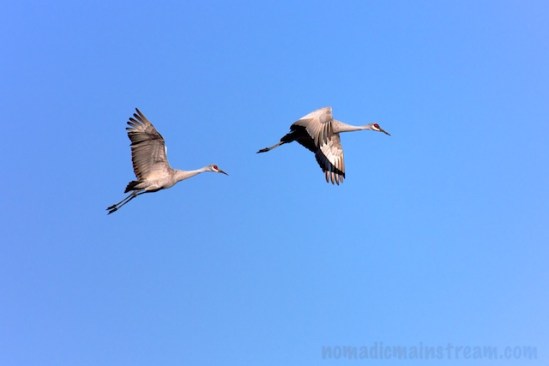 "I give up.  Just go wherever."