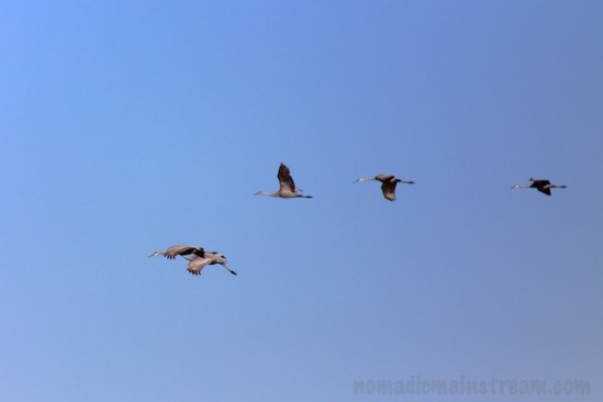 "Let's join that group!"