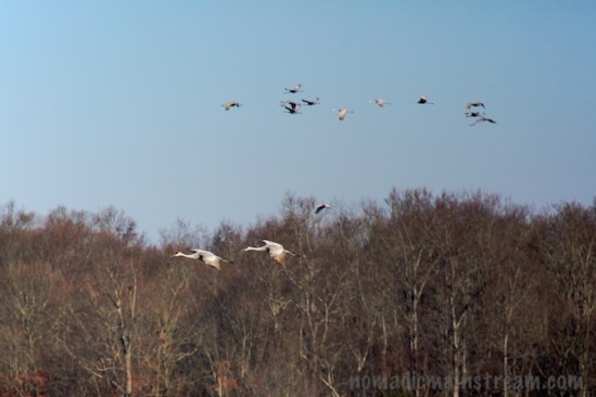 "We're going the wrong way!  We're never going to catch them now!"