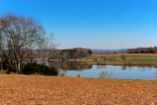 View of the refuge from the main viewing area