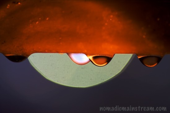 Same droplets but with the flashlight