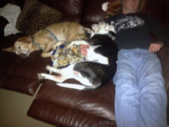 Still pups but more motion blur from unsteady hand holding