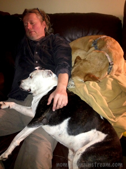 An adorable puppy pile, except the blown out whites on Tisen and the blur from motion