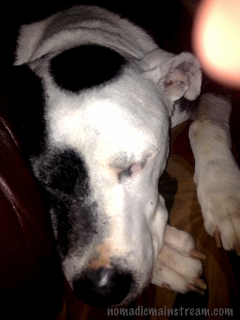 The whites on Tisen's face are blown out from the flash