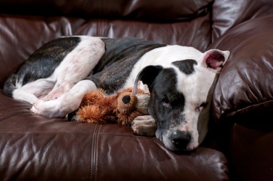 Tisen awakened from a nap with Minnie Bear