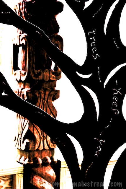 AU0A9586 - Version 2