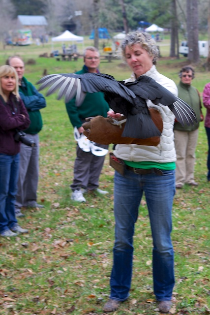 Cayce comes in for a surprisingly gentle landing