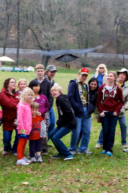 The second time Cayce buzzes the audience, they are a little better prepared and start to duck early