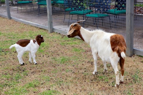 Naw . . . they're not related