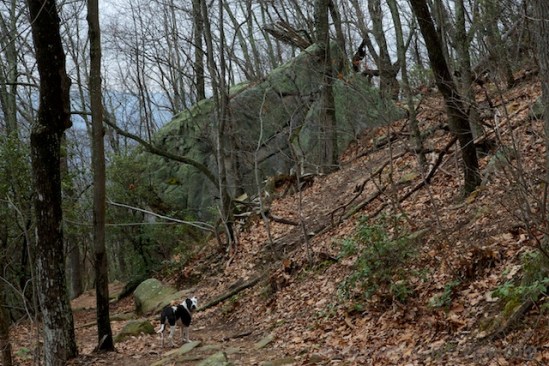 Tisen making sure I'm coming along