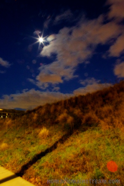 Shot while swaying with a post I was trying to lean on for stability