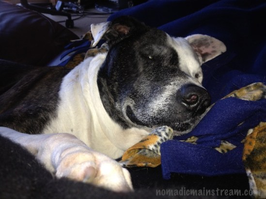 Cuddling in a blanket next to Mommy seems to be the highlight of the day