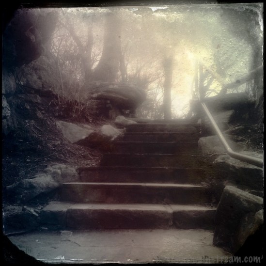 Coming back up the steps from Ochs Overlook toward the New York Peace Monument