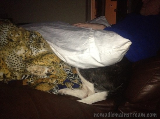 Tisen is in there somewhere--not sure how he's breathing though