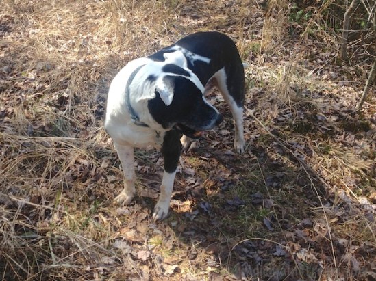 Hey! Where'd everyone go?