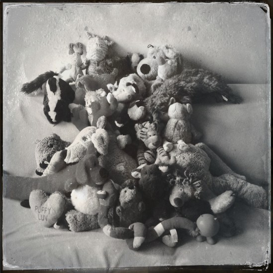 Black and white Hipstamatic version using the D-Type film