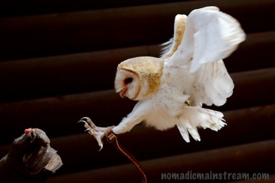 Theo looks like he's all set for a landing, but Dale is still in motion