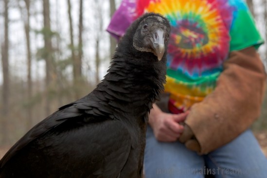 I like to think of this as Cayce's "Hey, what are you doing?" look