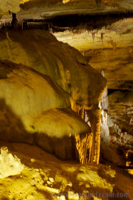 Sabre Tooth Tiger--definitely could have used a tripod