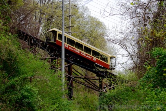 Not the usual sighting on a bird walk, but seeing the include railway train pass over the trail was kind of fun