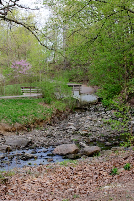 What a beautiful day in the park