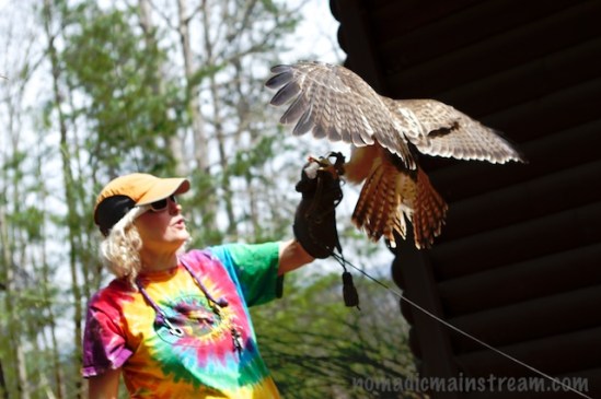 After the flare, Cody uses any remaining momentum to float gently to the glove