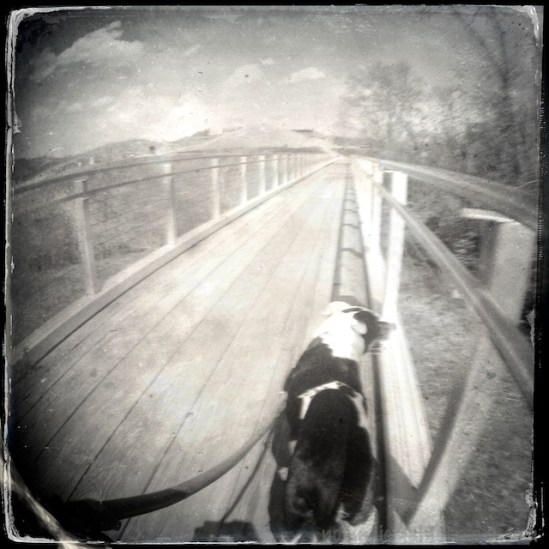 Same shot with Hipstamatic