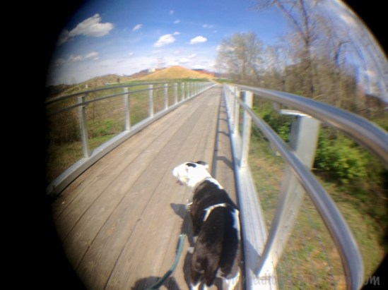 Oops--the fisheye adapter got bumped