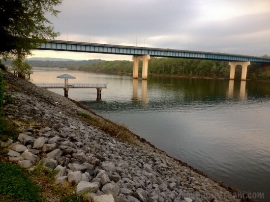 A Great Blue Heron perched on the rail of the pier below the bridge