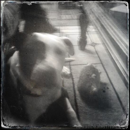 My baby boy in a blur--I'm so happy he rejoined me