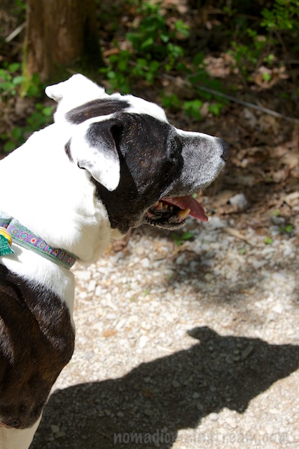 Tisen casting a dark shadow that he tried to figure out how to stand under