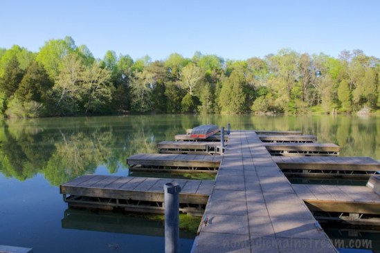 The row boats was patiently for someone to take them for a spin