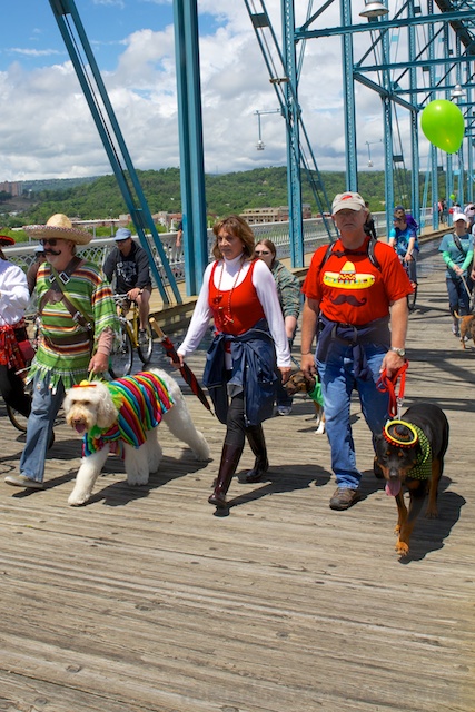 The do-good dogs won best costume