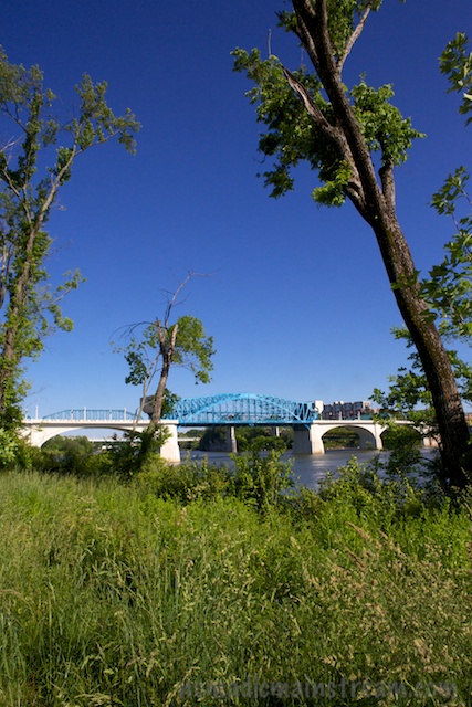 Closer to out-of-the-camera than the earlier image.  I really like the tree on the right