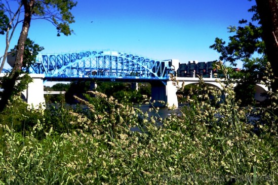 More of the Market St Bridge