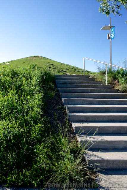 Stairs lining up with the sledding hill--clover clumps just barely visible on right side