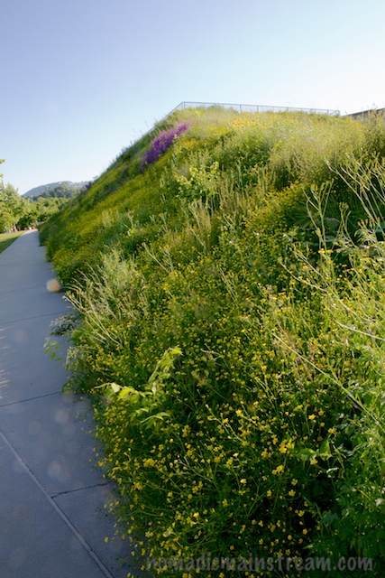 Looking down the sidewalk that runs along the long side of The Ramp