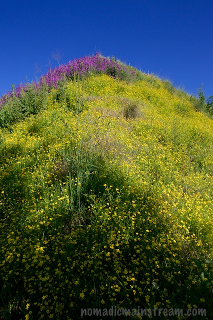 The ridge the runs up the spine of backside of The Ramp