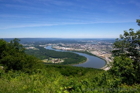 Perhaps the view is best enjoyed without a yawning holstein?