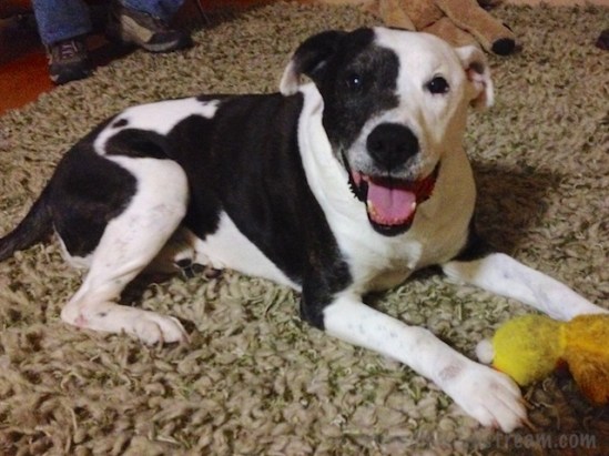 Tisen giddy with excitement