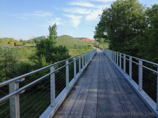 The native lens in the iPhone does not make for a great way to capture Great Blue Heron