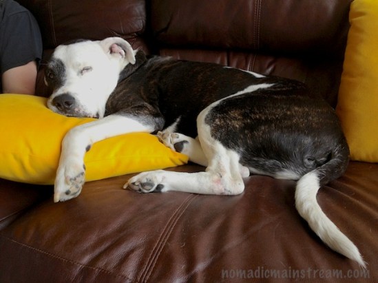 Tisen looking ridiculously comfy