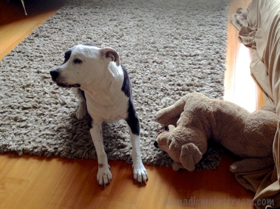 Tisen sliding into the down position