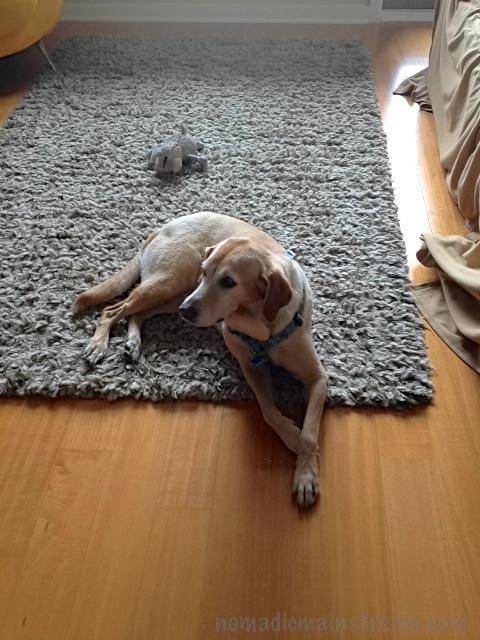 Twiggy looking her cool and regal self